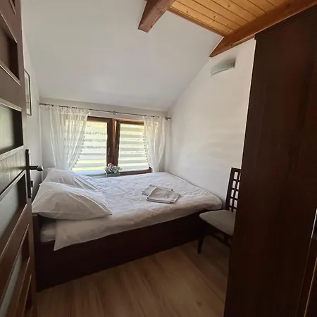 Salamandra Krynica-Zdrój