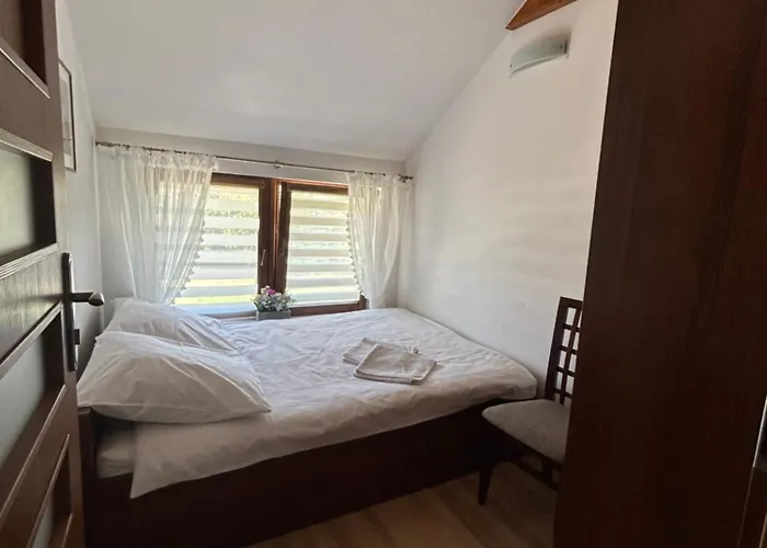 Salamandra Krynica-Zdrój